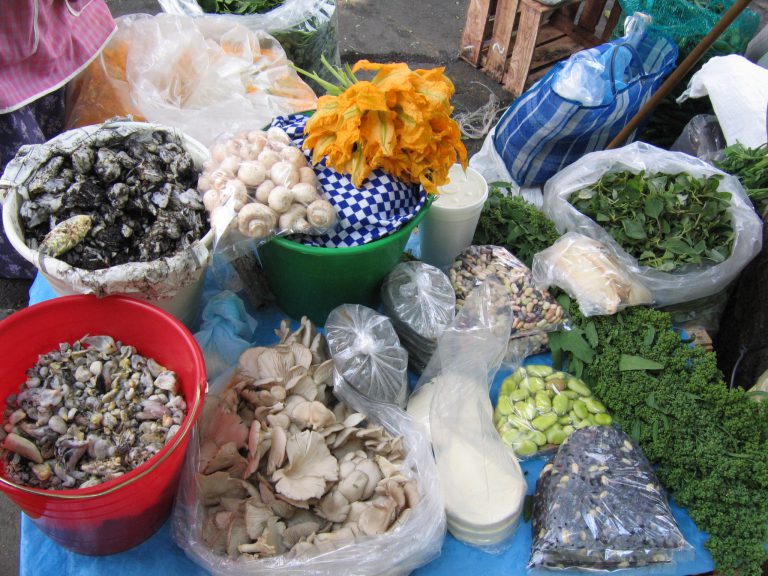 Lee más sobre el artículo Quelites: alimentos tradicionales con propiedades medicinales