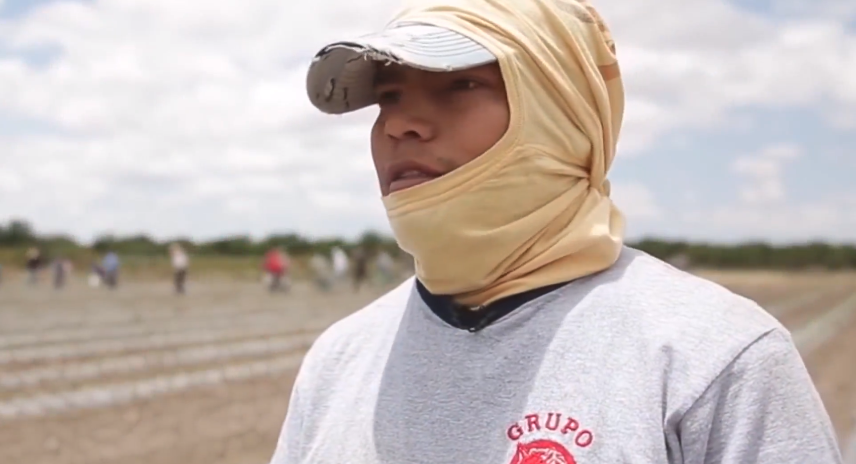 Lee más sobre el artículo Las amenazas de Trump y la migración de trabajadores agrícolas mexicanos a Canadá