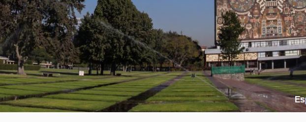 Lee más sobre el artículo Conacyt reconoce a 20 investigadores eméritos del SNI; 13 son de la UNAM