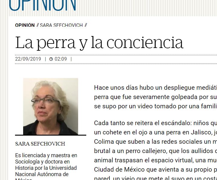 Lee más sobre el artículo La perra y la conciencia