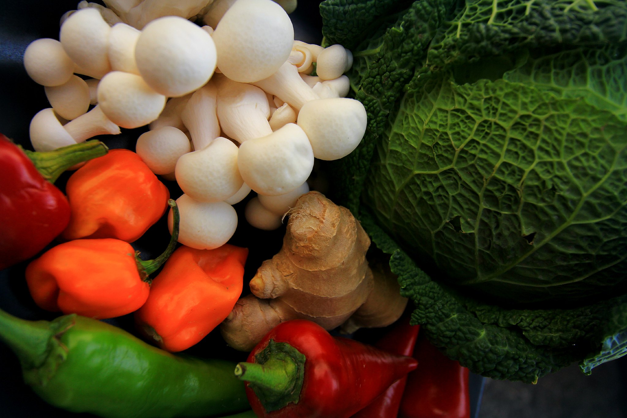 Lee más sobre el artículo A propósito del Día Mundial de la Alimentación