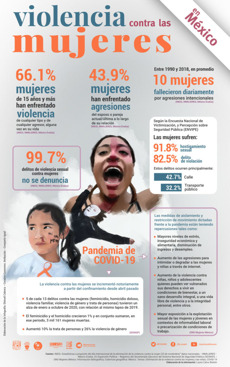 Lee más sobre el artículo Violencia contra las mujeres en México
