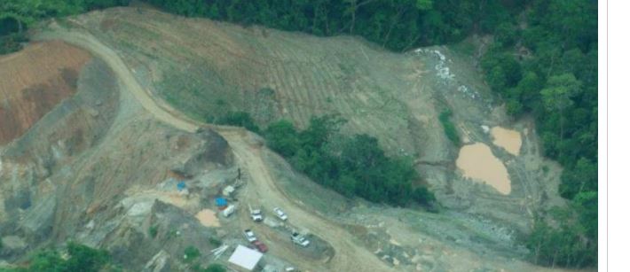 Lee más sobre el artículo Bosques y selvas mexicanos, amenazados por mineras, denuncian especialistas
