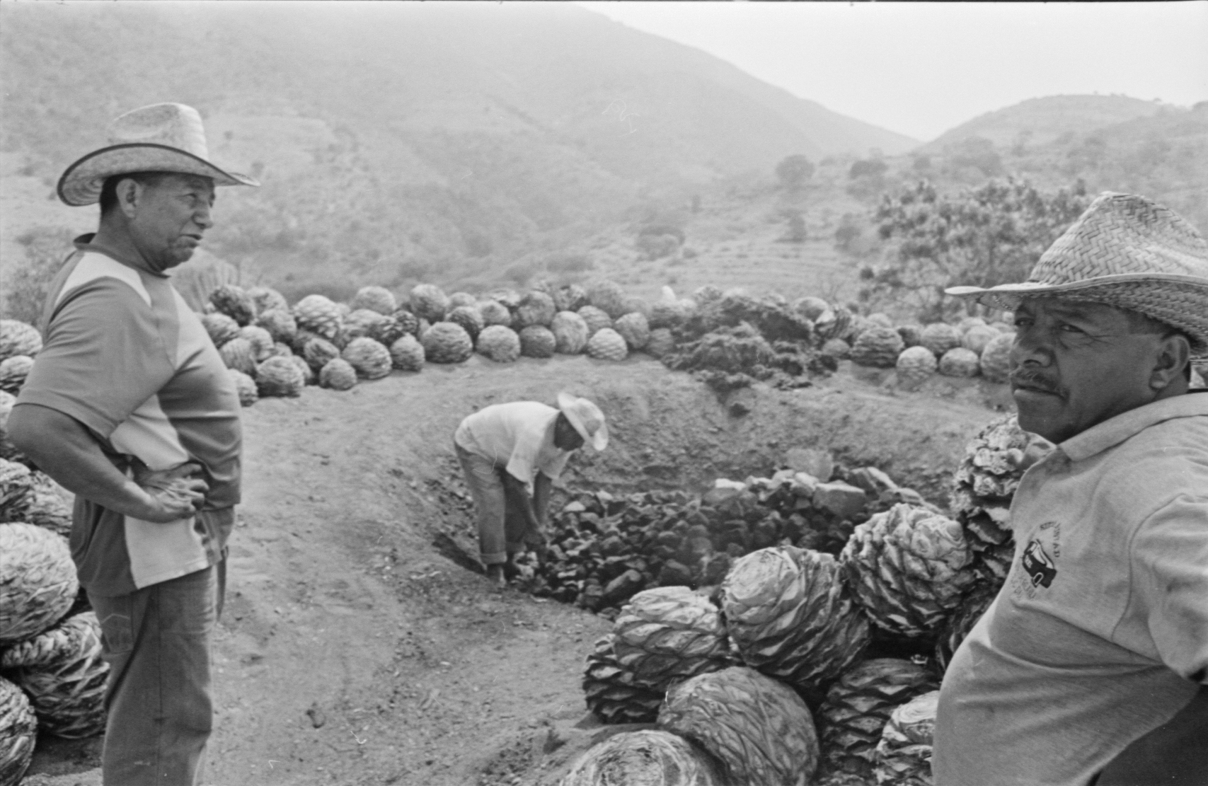 Lee más sobre el artículo Reconocimiento al origen: algunas reflexiones sobre las Denominaciones de Origen en México