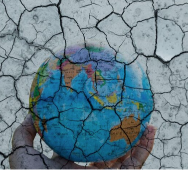Lee más sobre el artículo Crisis ambiental es generada por formas de consumo: UNAM
