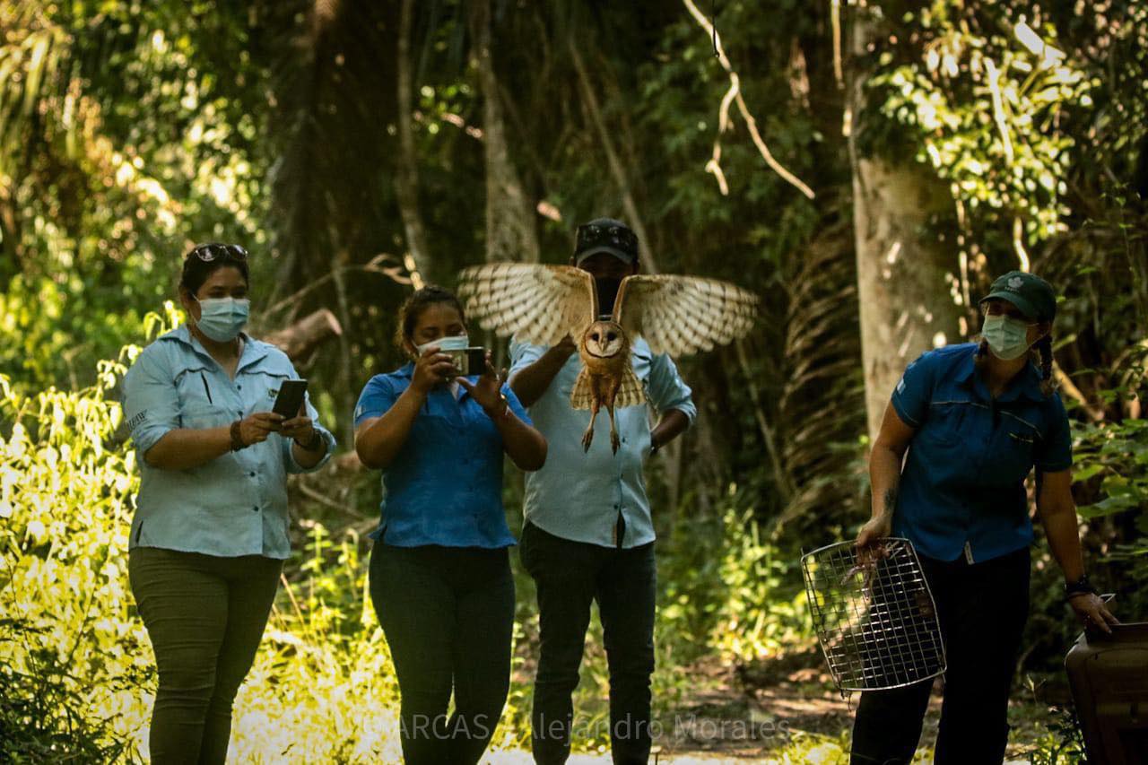 Lee más sobre el artículo La vinculación entre la población local y la naturaleza es necesaria para alcanzar un turismo ambientalmente responsable