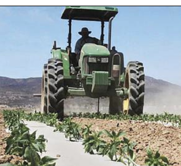 Lee más sobre el artículo En Baja California, trasnacionales acaparan las tierras más productivas
