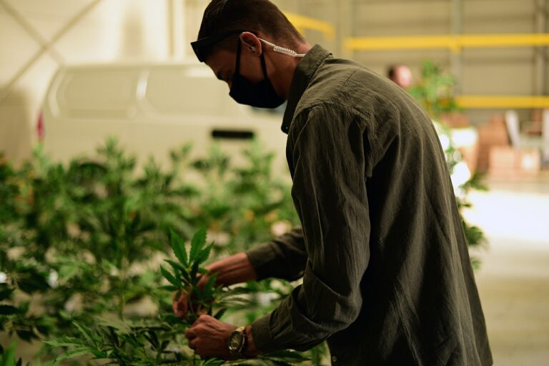 Lee más sobre el artículo El consumo y usos de la cannabis de mujeres sigue siendo criminalizado