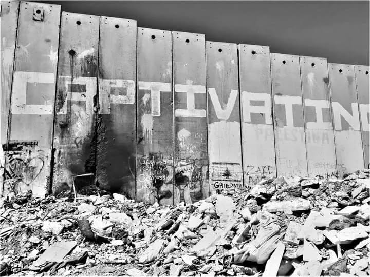 Lee más sobre el artículo Sin ayuda mundial, Palestina resiste