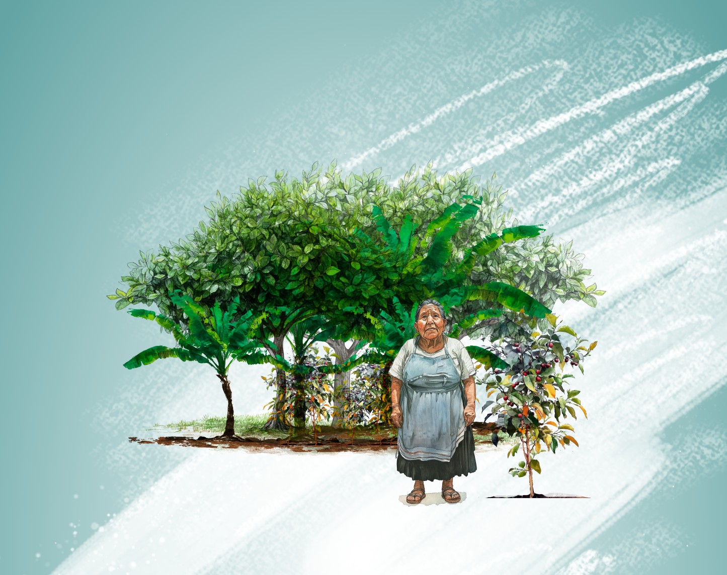 Lee más sobre el artículo Cambio climático y sus efectos en cultivos estratégicos mexicanos: café