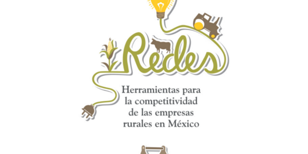 Las redes: herramientas para la competitividad de las empresas rurales en México