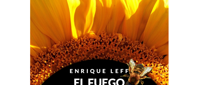 El fuego de la vida. Heidegger ante la cuestión ambiental El fuego de la vida. Heidegger ante la cuestión ambiental