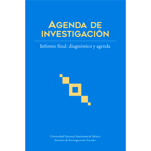 Agenda de investigación. Informe final: diagnóstico y agenda