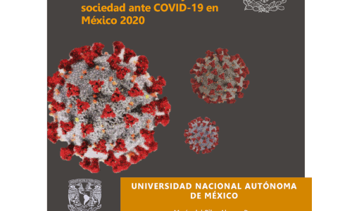 Costos-beneficios de las estrategias de adaptación en salud, economía y sociedad ante COVID-19 en México 2020. Resultados descriptivos