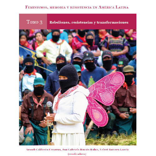 Feminismos, memoria y resistencia en América Latina. Tomo 3. Rebeliones, resistencias y transformaciones